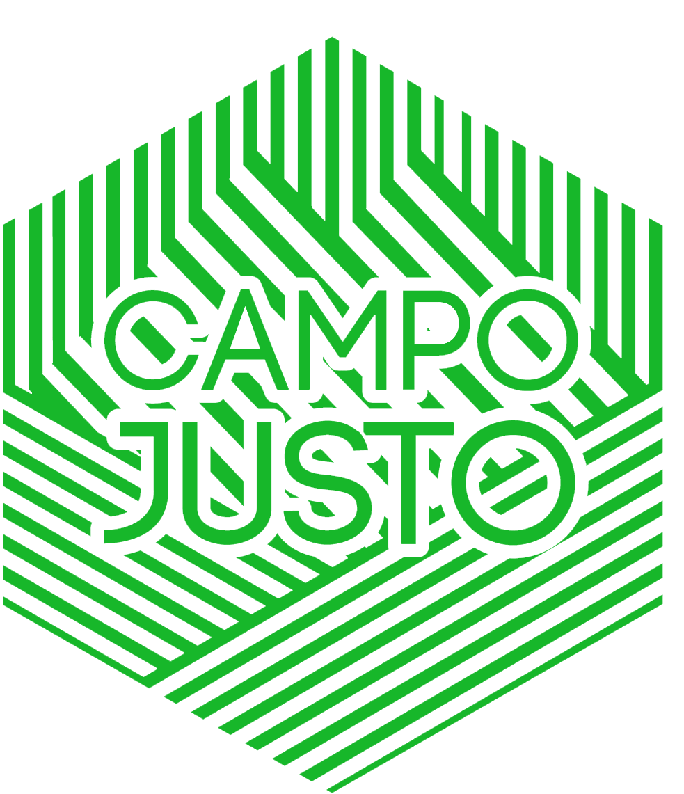 Viseo Logo
